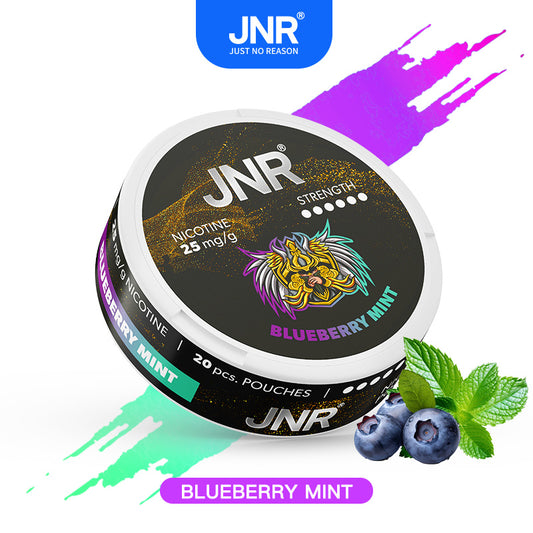 JNR Nicotine Pouches Blueberry Mint